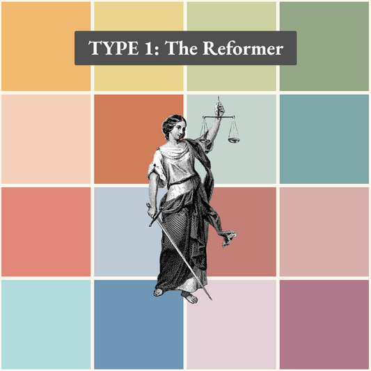 Enneagram Type 1 Field Guide
