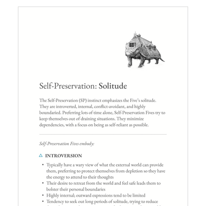 Enneagram Type 5 Field Guide