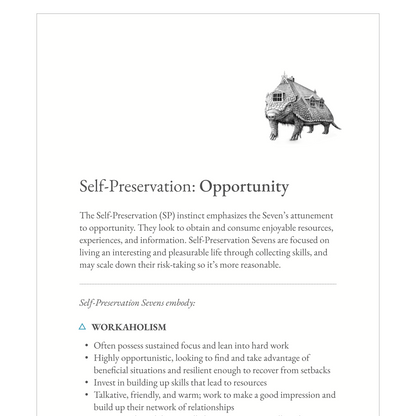 Enneagram Type 7 Field Guide