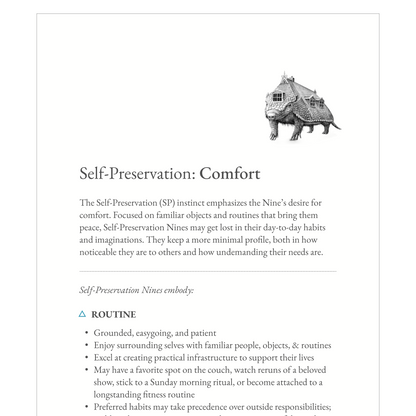 Enneagram Type 9 Field Guide